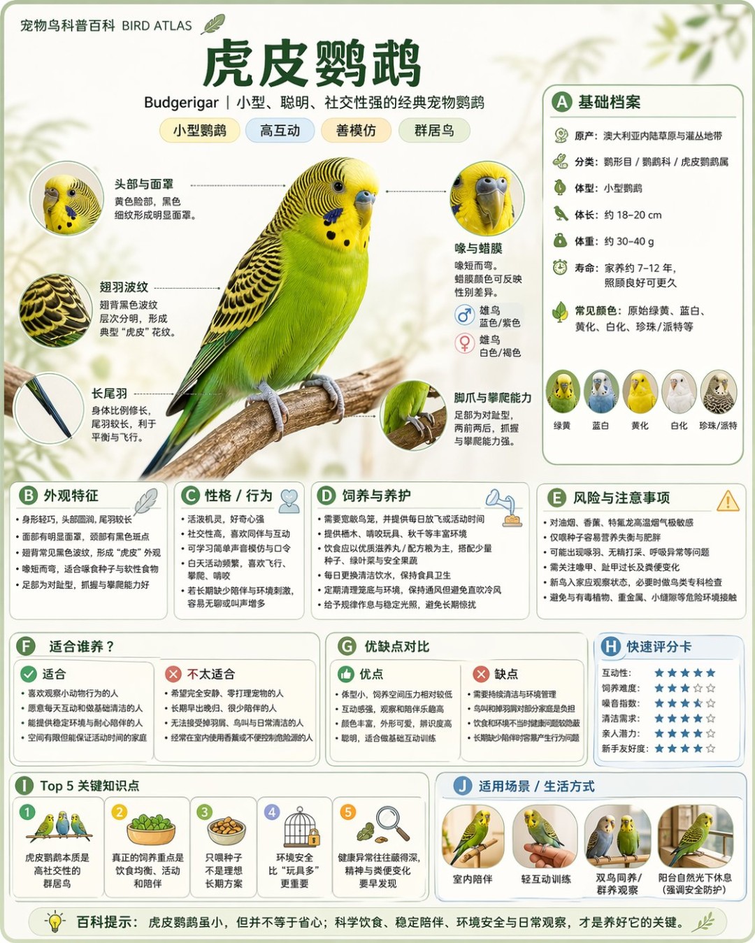 ChatGPT免费用户也能用GPT Image 2！效果超赞