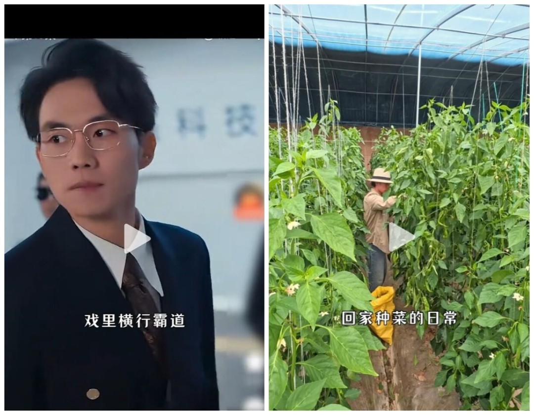 短剧演员只剩种地一条路？AI时代真人戏太难了