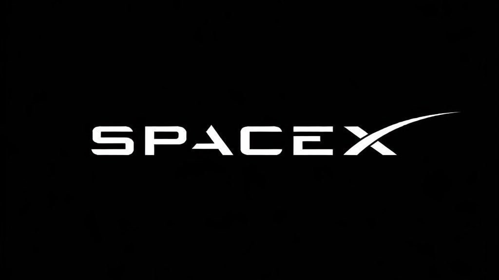 SpaceX递交IPO申报文件，马斯克有望成万亿富翁