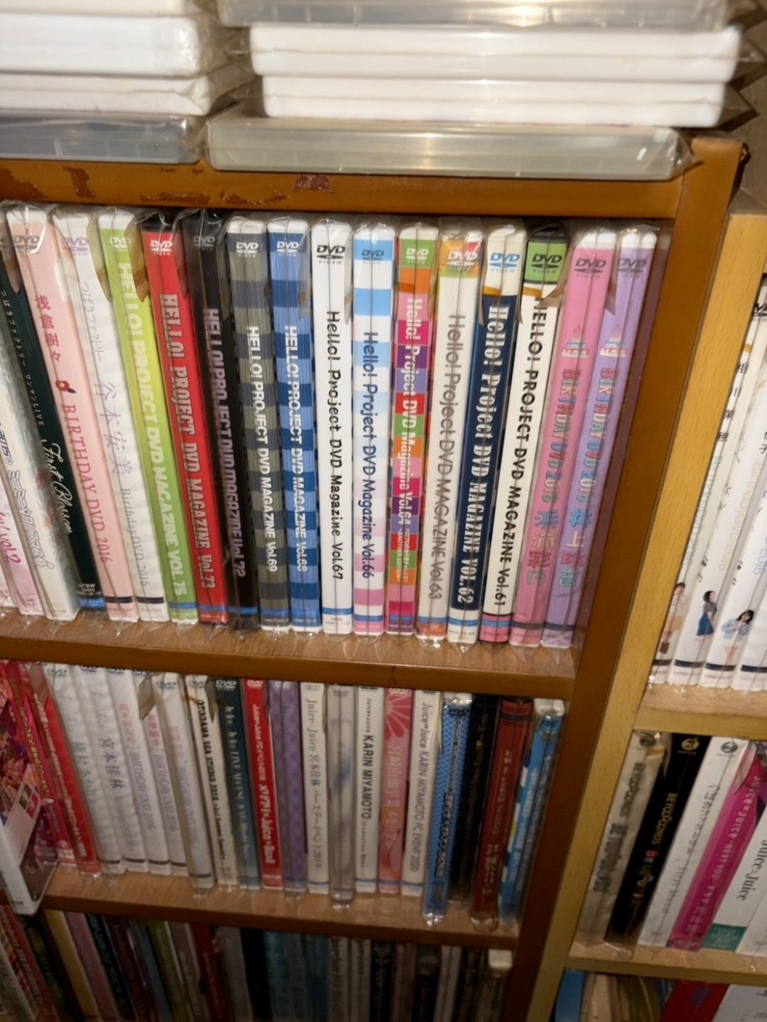 独居宅男离世收藏品因气味太重变垃圾，遗品整理费用高昂