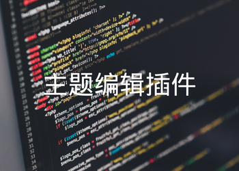 网站主题在线编辑插件